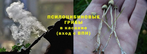 хмурый Вязьма