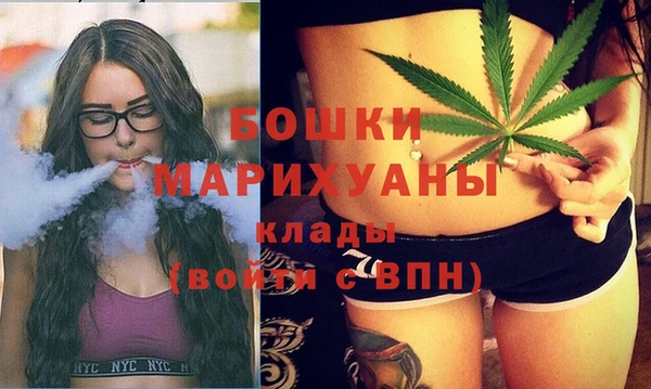 МДПВ Вяземский