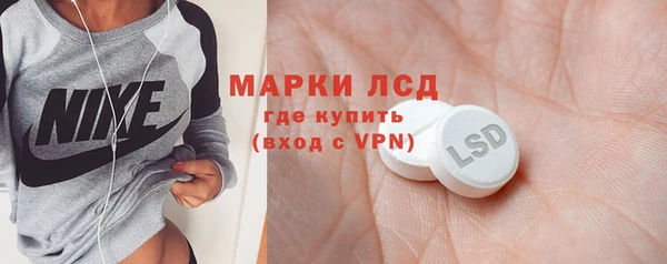 МДПВ Вяземский