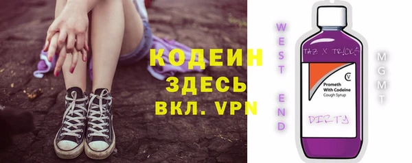 хмурый Вязьма