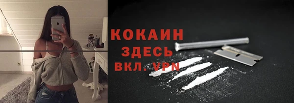 МДПВ Вяземский