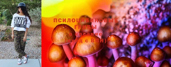 хмурый Вязьма