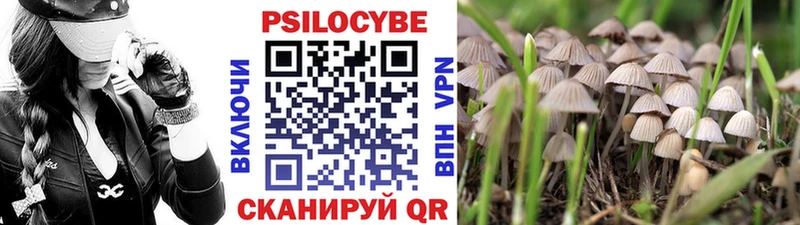 Галлюциногенные грибы GOLDEN TEACHER  мега маркетплейс  Меленки 